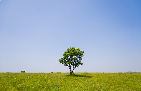 完善制度，规范流程，严格履行信息披露义务