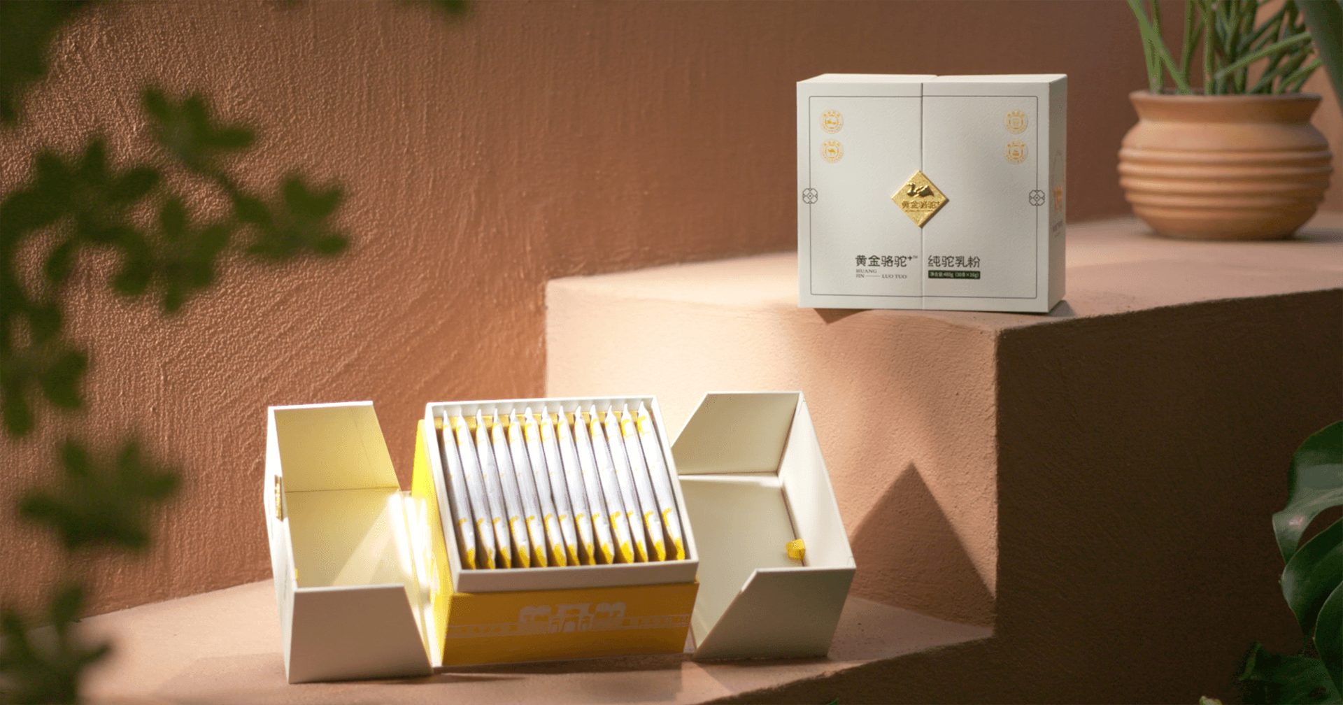 定位小众高端乳粉，jinnianhui今年会推出驼奶品牌“黄金骆驼+”，角逐乳品新市场！